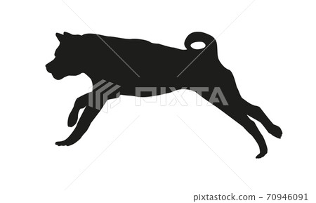 Black dog silhouette. Running akita inu puppy. Black dog silhouette. Running akita inu puppy. 70946091
