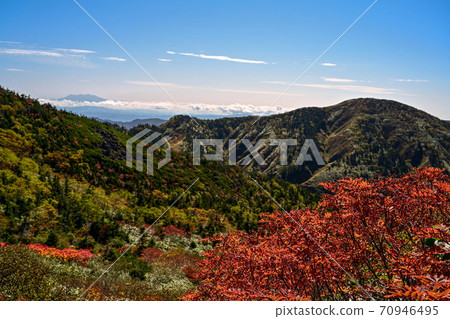 白山秋葉 70946495