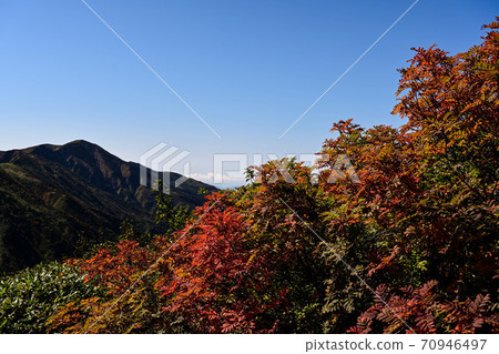 白山秋葉 70946497