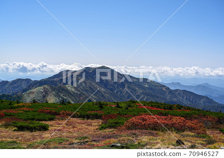 Autumn leaves of Hakusan 70946527