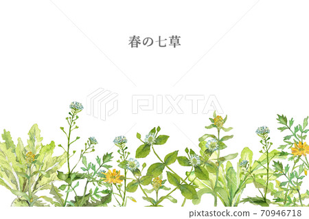 Spring seven herbs watercolor frame 70946718