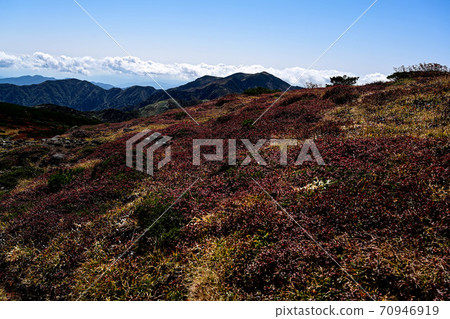 Autumn leaves of Hakusan Autumn leaves of Hakusan 70946919