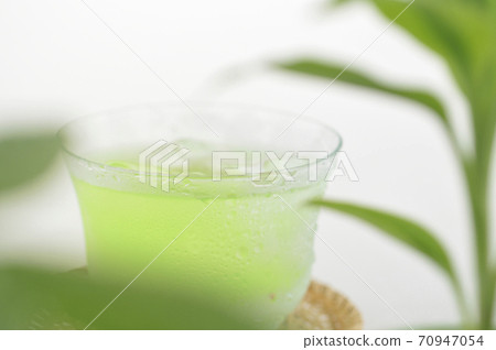 Foliage plant Foliage plant 70947054