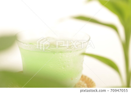 Foliage plant  70947055