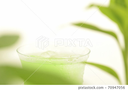 Foliage plant  70947056