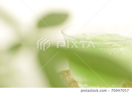 Foliage plant  70947057