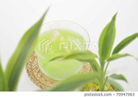 Foliage plant  70947063