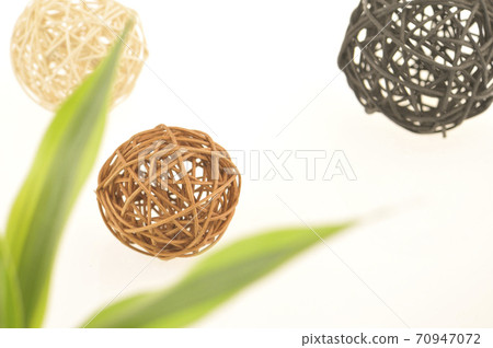 Foliage plant Foliage plant 70947072