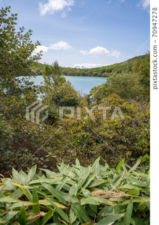 Prefectural Akagi Park Konuma, near the Konuma parking lot, Kanto Fureai Road, early autumn scenery 70947278