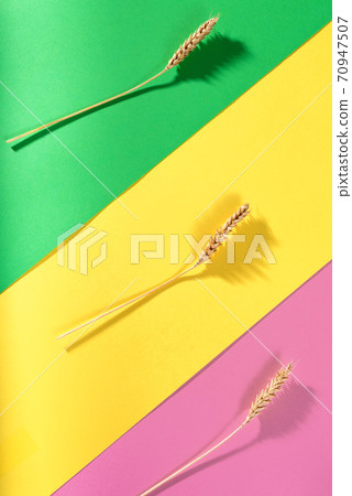ears of wheat on a bright colorful background ears of wheat on a bright colorful background 70947507