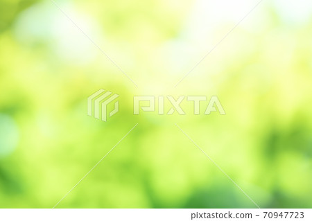 Green blurred background abstract light gradient bokeh natural  Used for text input 70947723