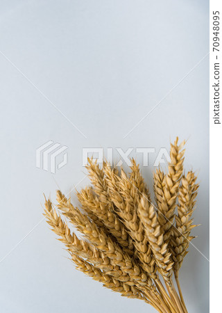 bouquet of yellow rye on a white background 70948095