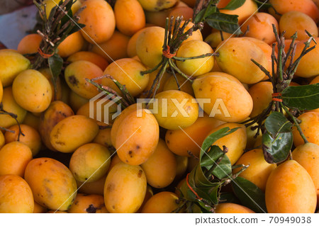 Maprang fruit of Thailand Maprang fruit of Thailand 70949038