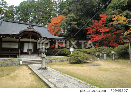 大阪市廣川寺的秋葉 大阪市廣川寺的秋葉 70949207