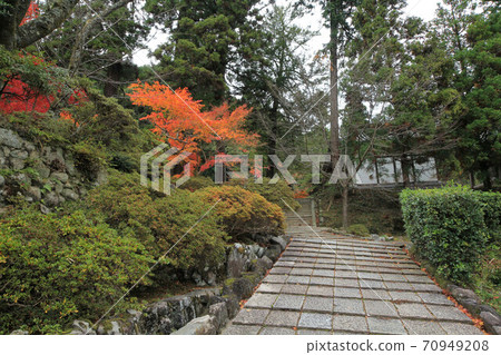 大阪市廣川寺的秋葉 大阪市廣川寺的秋葉 70949208