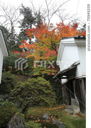 大阪市廣川寺的秋葉 大阪市廣川寺的秋葉 70949209