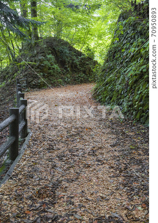 Hibara Tomin no Mori森林療法之路10月 70950893