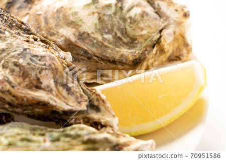 Lemon (comb-shaped) attached to oysters with shells. Lemon (comb-shaped) attached to oysters with shells. 70951586