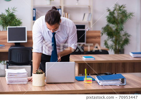 Young male employee working in the office 70953447