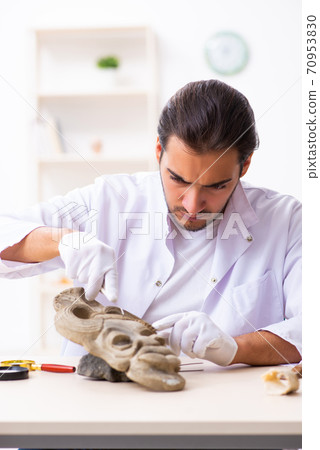 Young male archaeologist studying ancient african stonemask 70953830