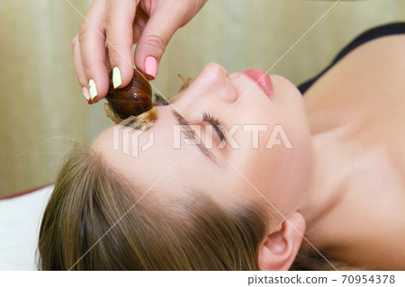 Caring for the skin of the face of the big snails Akhatina. Caring for the skin of the face of the big snails Akhatina. 70954378