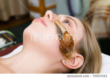 Caring for the skin of the face of the big snails Akhatina. Caring for the skin of the face of the big snails Akhatina. 70954381