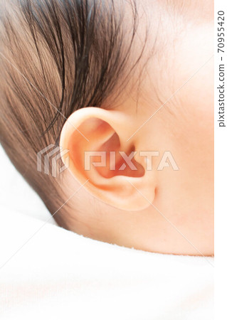 Baby's ear 70955420