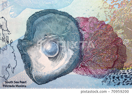 South sea pearl a portrait from Philippine peso South sea pearl a portrait from Philippine peso 70959200