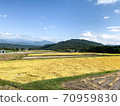Rural scenery after rice harvest 70959830