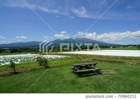 Fresh green Mt. Asama and cabbage field seen from Miyota Town 70960251
