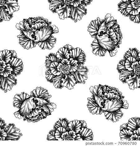 Seamless pattern with black and white decorative cabbage Seamless pattern with black and white decorative cabbage 70960780