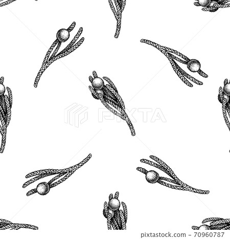 Seamless pattern with black and white brunia Seamless pattern with black and white brunia 70960787