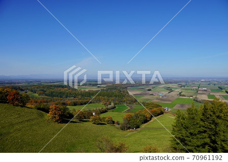 Shinarashiyama天空公園天文台的秋天 Shinarashiyama天空公園天文台的秋天 70961192