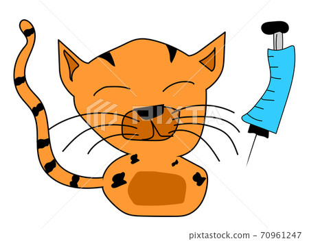 Cat holds a syringe. Vector design for Veterinary concept Cat holds a syringe. Vector design for Veterinary concept 70961247
