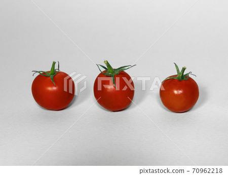 Cherry Freshness Tomatoes Line up on Grey Background Space for Text, Copyspace 70962218