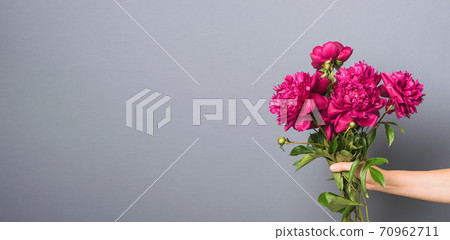 Burgundy red peonies holds female hand on a gray background. Horizontal frame selective focus. Copy space for design 70962711