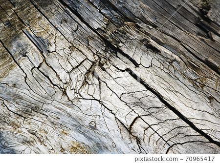 detail of an old weathered wood with cracks 70965417