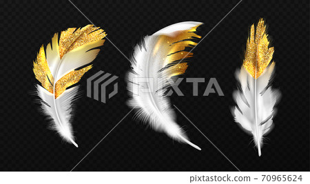 White feathers with gold glitter on edges, plumage 70965624