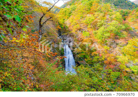 Autumn Akiu Otaki [Miyagi Prefecture] 70966970
