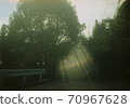 Sunbeams 70967628