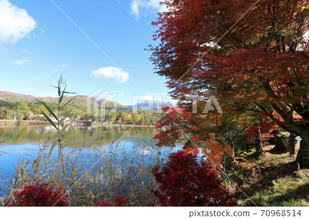 Autumn leaves and snow scene of Lake Tateshina 70968514