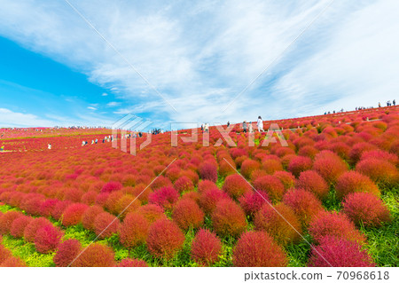 [俯瞰三原輕岡的科基亞] 70968618