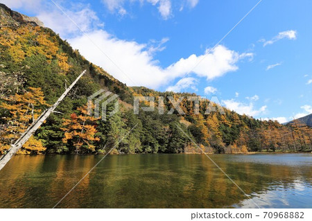 Autumn leaves of Kamikochi 70968882