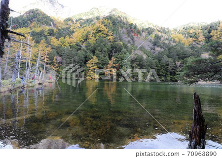 Autumn leaves of Kamikochi 70968890