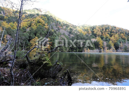 Autumn leaves of Kamikochi 70968891
