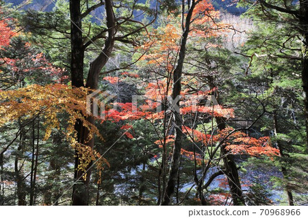Kamikochi秋葉 Kamikochi秋葉 70968966