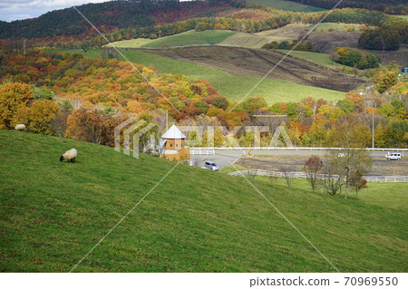 Kuzumaki Takahara Ranch 70969550