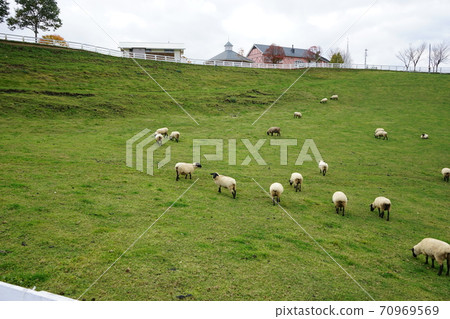 Kuzumaki Takahara Ranch 70969569