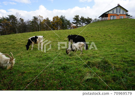 Kuzumaki Takahara Ranch 70969579