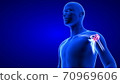 Shoulders Pain close-up illustration. Blue Human Anatomy Body 3D Scan render on blue background 70969606